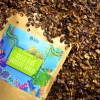 Cascara Costa Rica Hacienda Sonora