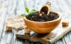 Herbata earl grey - historia i pochodzenie