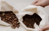 Arabica czy robusta - czym się różnią i którą wybrać?