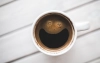 Rozpocznij wiosnę ze Świeżo Paloną - nowy blend